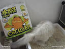 囧宝加菲猫豆腐猫砂京东自营送货上门强效除臭豆腐砂猫咪猫砂2.3kg*4 实拍图