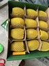 佳沛（zespri）新西兰 金果12粒特大果单果124-146g 端午节礼物水果礼盒 猕猴桃 实拍图