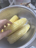 新鲜白糯玉米农家自种牛奶甜糯玉米早餐代餐苞谷嫩玉米棒子蔬菜 5斤 实拍图