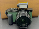 松下S9（18-40mm F4.5-6.3）套机 （Panasonic）全画幅微单 实时Lut 滤镜直出 连接app极速分享-橄榄绿 实拍图