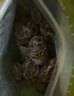 好味佳广澳话梅400g 直播网红同款休闲零食蜜饯果干下午茶点 实拍图