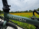 大行（DAHON）P8折叠自行车经典成人20英寸8速折叠车男女式运动单车KBC083 消光灰绿【JD定制版】 实拍图
