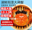 【活蟹】湖鲜阳澄 大闸蟹 去绳足重 3.1-3.4两 12只 鲜活六月黄现货超大螃蟹海鲜礼盒装 实拍图