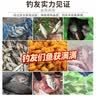 西部风（Xibu feng） 西部风老坛甜薯玉米窝料野钓鲫鲤草青鱼打窝钓鱼饵料发酵底窝料 老坛甜薯玉米5袋 实拍图