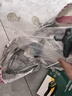 世达（SATA）90902聚泛光两用灯(锂电池) 应急巡逻工业场地工作灯 实拍图