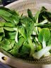 【东东买菜】四季小青菜自种大棚小油菜现摘超市涮火锅时令蔬菜 河南小青菜2斤装净重 实拍图