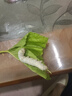 史丹利茉莉花专用营养液500ml 肥料盆栽酸性植物家用花卉通用型液体花肥 实拍图