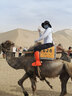 骆驼（CAMEL）雪山壳夏季防晒衣男女新款冰感运动外套 C15BAYL6016D 梦幻粉 M 实拍图