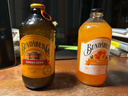 宾得宝（Bundaberg）含气葡萄柚汁饮料375ml*6玻璃瓶装  澳州进口夏日出游果汁气泡水 实拍图