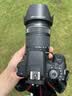 佳能（Canon）EOS 750D 760D 800D 850D 77D 二手单反相机高清数码照相机 99新 750D EF 18-135mm STM 套餐二【75%用户的选择 免费升级套餐三】 99 实拍图