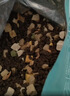 亿迪猫粮全价成猫幼猫冻干全阶段5斤布偶蓝猫英短橘猫通用小包装2.5kg 实拍图