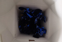 歌帝梵（Godiva）臻粹榛仁果仁巧克力 12颗120g 休闲零食 生日礼物 伴手礼 喜糖 实拍图