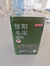 京东京造鲜来多26新茶信阳毛尖绿茶250g明前茶叶栗香嫩芽送礼盒自己喝自营 实拍图