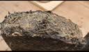盛安长泾阳茯茶传承1368黑茶茯砖茶陕西特产茶叶礼盒 2021年糯香900g 实拍图