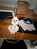 Apple/苹果 EarPods USB-C有线耳机 type-c有线耳机  iPhone 17有线耳机笔记本耳机游戏音乐 实拍图