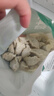 必品阁（bibigo）白菜猪肉王水饺1800g 约72只 早餐半成品夜宵速冻饺子京东独家 实拍图