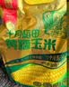 十月稻田 白糯玉米 8根 4.16斤 真空包装 东北甜粘玉米棒 低脂早餐 实拍图