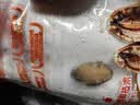 江船长冷冻无壳鲍鱼肉净重400g(40-50粒）火锅烧烤 活鲍加工 实拍图