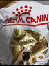 皇家狗粮 斗牛犬成犬狗粮 犬粮 宠物中型犬 FBA26 全价犬粮 ≥12月3KG 实拍图