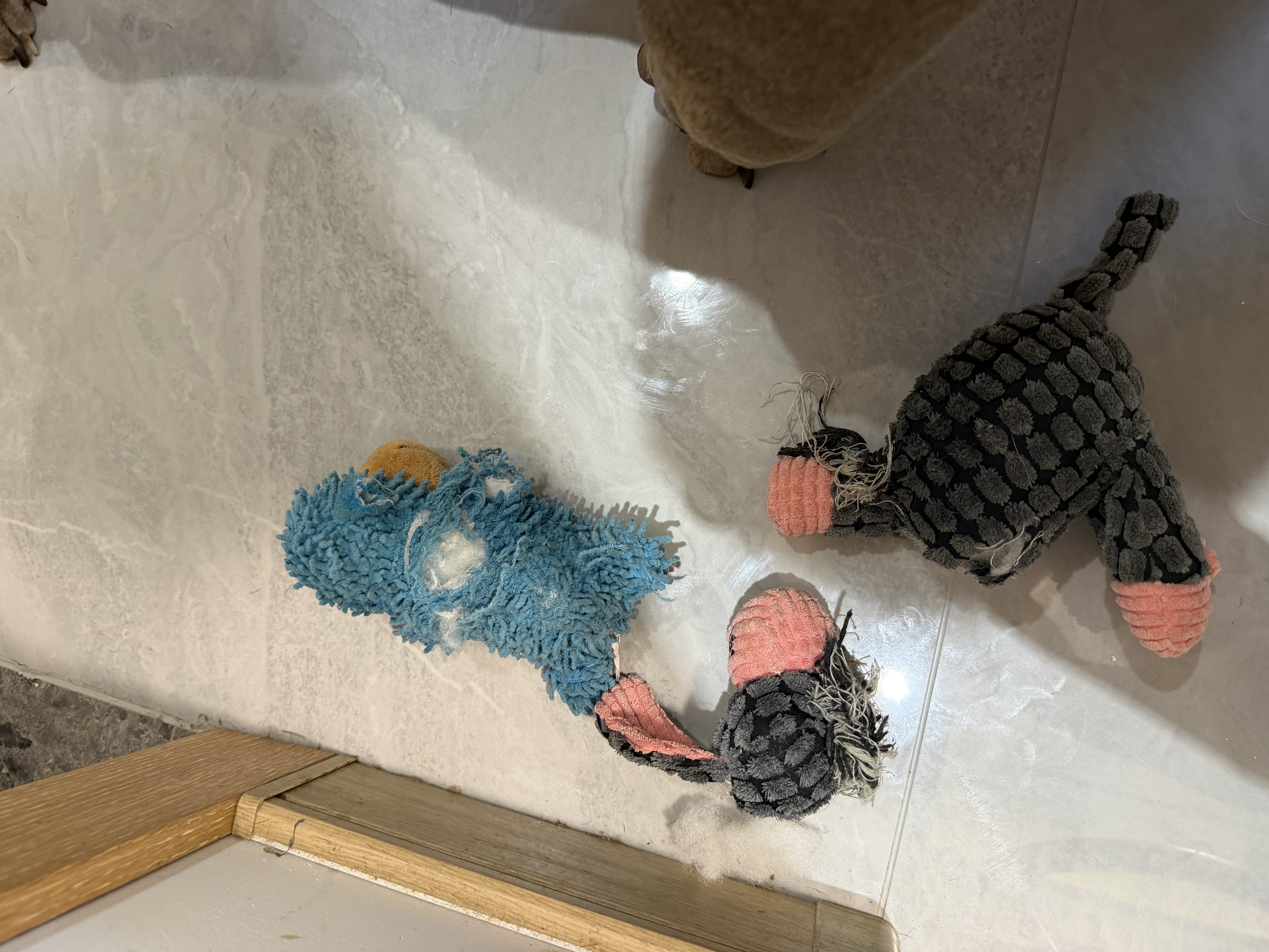 欢宠网宠物狗狗玩具狗耐咬磨牙发声小狗幼犬边牧比熊小型大型犬自嗨解闷 实拍图