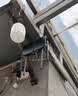 普联（TP-LINK）双千兆路由器 易展mesh分布式 AC1200无线家用穿墙 5G双频 WDR5620千兆易展版 IPv6 实拍图