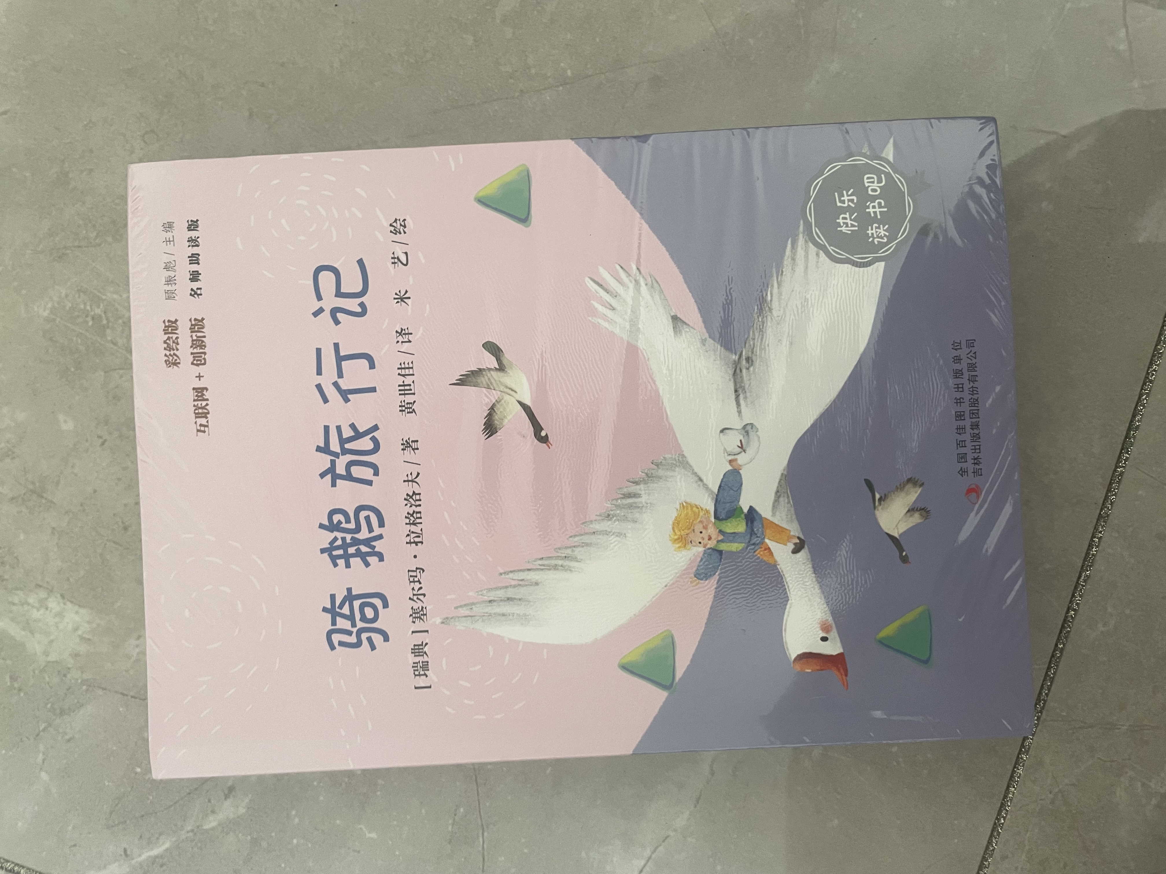 快乐读书吧六年级下册指定阅读：鲁滨孙漂流记+汤姆索亚历险记+骑鹅旅行记(套装共3册）课外阅读书必读 实拍图