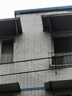 雨虹防水 屋顶防水补漏材料 防水胶 补漏王 耐高温耐晒隔热防水涂料 18kg 实拍图