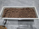 德沃多霍伦种菜花盆小号(灰色)家庭育苗盆长方形种植多肉箱阳台种菜箱 实拍图