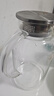 青苹果 凉水壶 高硼硅玻璃茶水分离耐热耐高温冷水壶泡茶杯大容量1.95L 实拍图