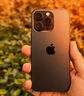 Apple/苹果  iPhone 17 Pro Max 256GB 星宇橙色 支持移动联通电信5G 双卡双待手机 实拍图