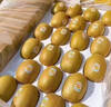 佳沛（zespri）新西兰 金果25-27粒特大单果124-146g 端午礼物水果礼盒 猕猴桃 实拍图