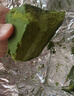 鲜京采抹茶巧克力脆皮泥巴派（8枚装）310g蛋糕面包办公室零食 实拍图