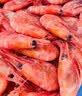 禧美海产头籽北极甜虾2斤/盒 90/120 头籽率参考95%  MSC认证 轻食海鲜 实拍图