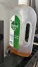 滴露（Dettol）消毒液洗衣衣物消毒水750mL 除螨杀菌混洗无忧 家居地板消毒 非84 实拍图