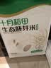 十月稻田 生态胚芽米 90%留胚 5斤(粥米 东北大米 2.5kg) 实拍图