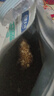 伯纳天纯鸭肉梨冻干三拼狗粮2kg/4斤 实拍图