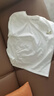 JEANSWEST LIFE真维斯短袖T恤男士纯棉透气夏季男女款半袖体恤青少年宽松五分袖A 实拍图