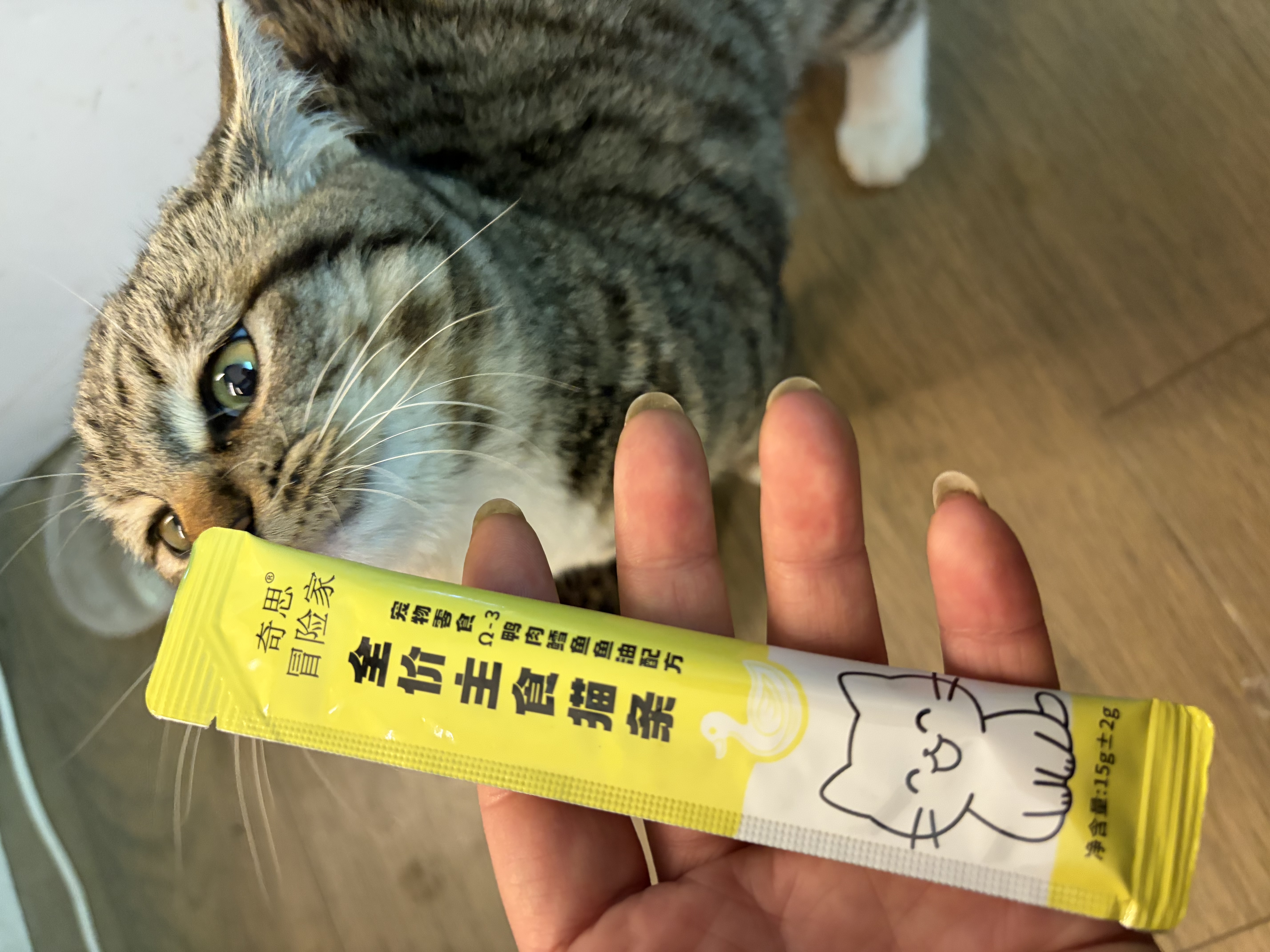 猫条猫零食补充营养味美妙鲜湿粮包猫罐头猫条100支整箱猫咪零食 猫条鸭肉鳕鱼口味【15g*100支】 实拍图