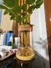 九千谷鸭脚木水培植物八方来财鹅掌柴招财树含玻璃瓶竹托源头直发 实拍图