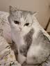 麦富迪猫零食猫冻干猫咪零食冻干桶成幼猫通用冻干磨牙零食 3罐（鸡胸肉+鸭胸肉混合装） 实拍图