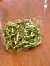 丙田 狗牯脑珍品特级100g 2026新茶江西遂川特原产狗牯脑茶芽绿茶自饮 实拍图