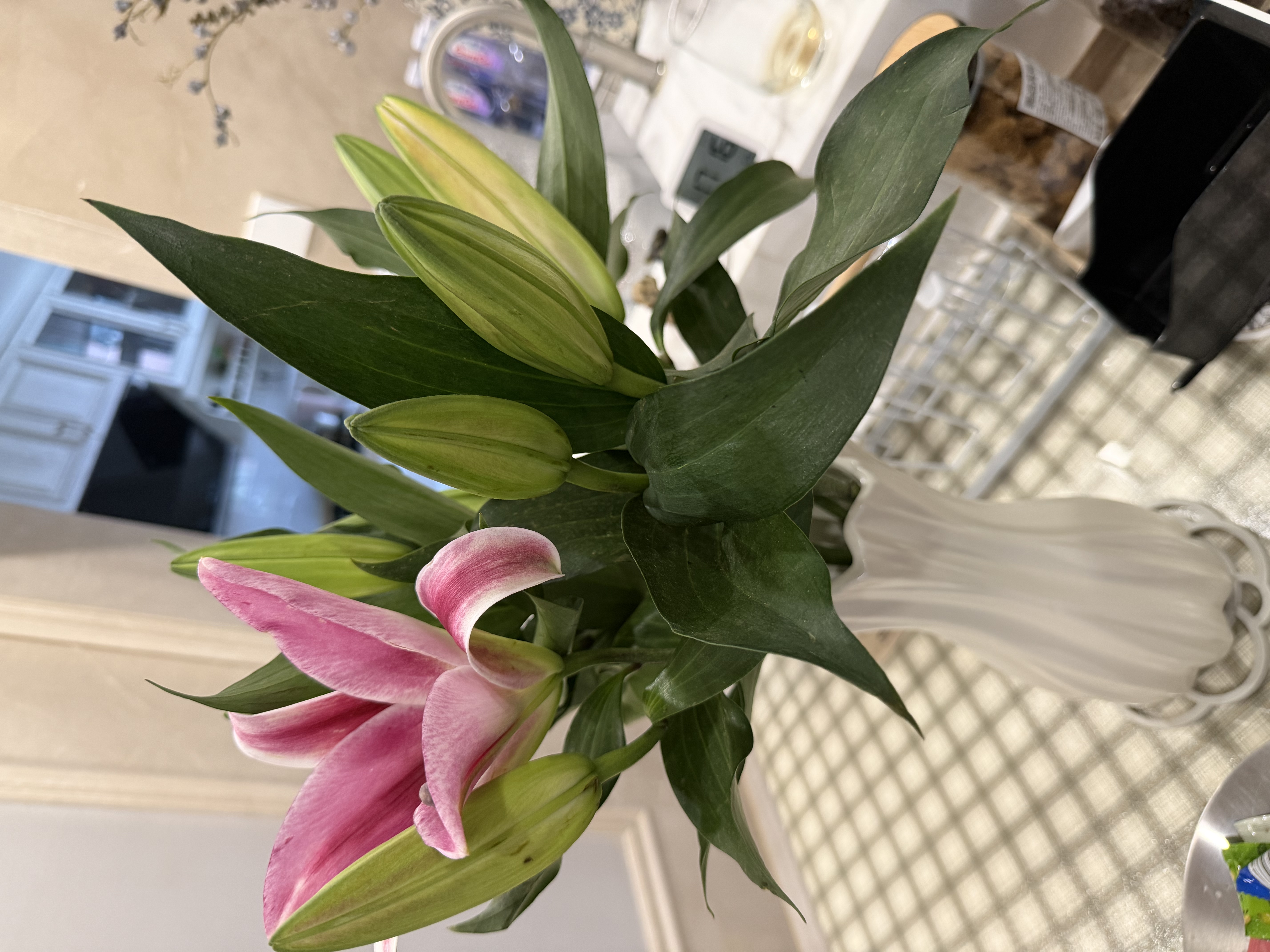 悦多彩AB级优质香水百合 家庭办公室各色生活鲜花 昆明基地 现采直发 随机单色百合10朵（双头5枝） 实拍图