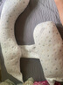 多米贝贝（Tomibaby）孕妇枕头护腰侧睡枕睡枕多功能托腹抱枕靠卧枕孕妇礼物用品G型 实拍图