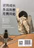 埃隆马斯克：实现不可能（青少版）马斯克授权采访传记 硅谷钢铁侠青少版 致每一位喜爱仰望星空、钟情于冒险、梦想改变世界的少年 埃隆之书 中信出版社 实拍图