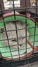 腆宠航空箱猫国航大号猫箱宠物航空箱狗狗猫包猫笼外出狗狗托运箱出行 实拍图