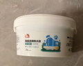 雨虹防水聚脲免砸砖防水胶 卫生间厨房透明防水涂料补漏王渗透剂 375g 实拍图