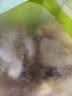 双汇带筋整只猪蹄劈半纯猪蹄无拐骨 净重4斤骨红烧炖煮家庭源头直发 实拍图