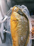 海名威 宁德三去大黄鱼 对半厚切黄花鱼 净重2斤/3片装 海鲜 生鲜鱼类 实拍图