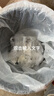 十色生活酵种培养皿鲁邦波兰种天然酵母带刻度密封罐玻璃发酵瓶子烘焙工具 实拍图
