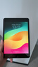 Apple苹果ipad9/10/Pro2022/21/20款 /air5/mini7/6二手平板电脑 iPad mini5 实拍图